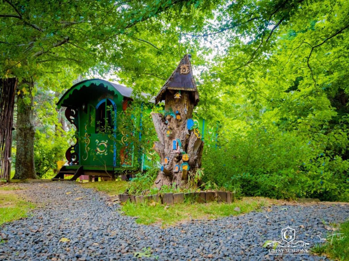 Gypsy Wagons And Vans, Clarens Rom bilde